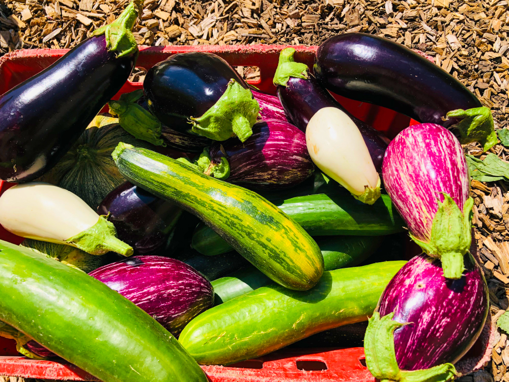 Beaucoup de légumes