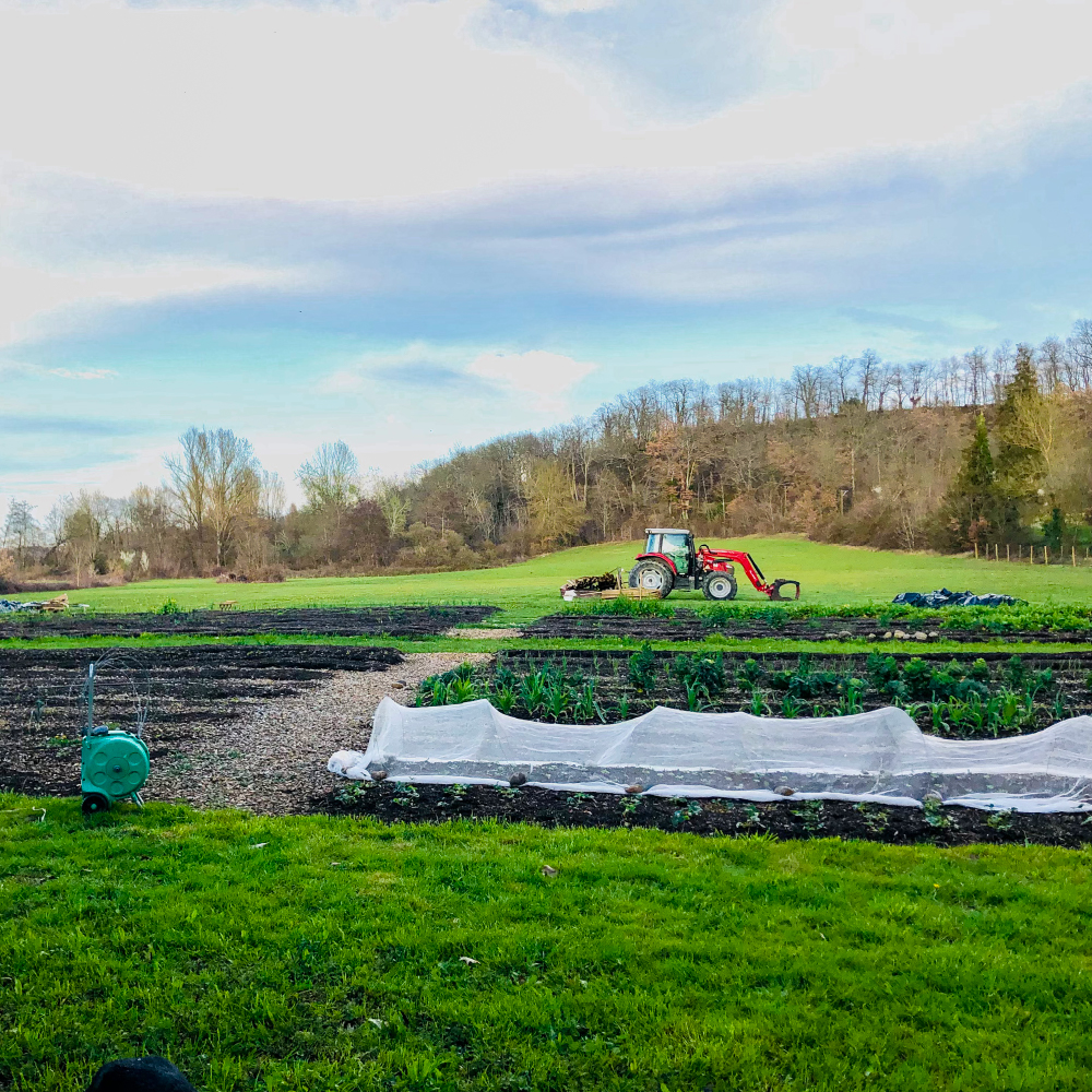 Un champ avec un tracteur