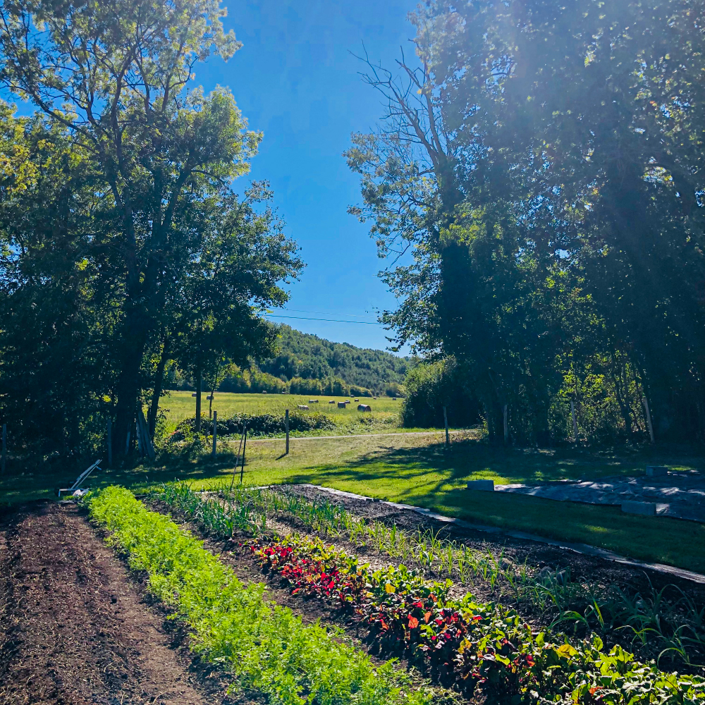 Saison de croissance, rangées de cultures