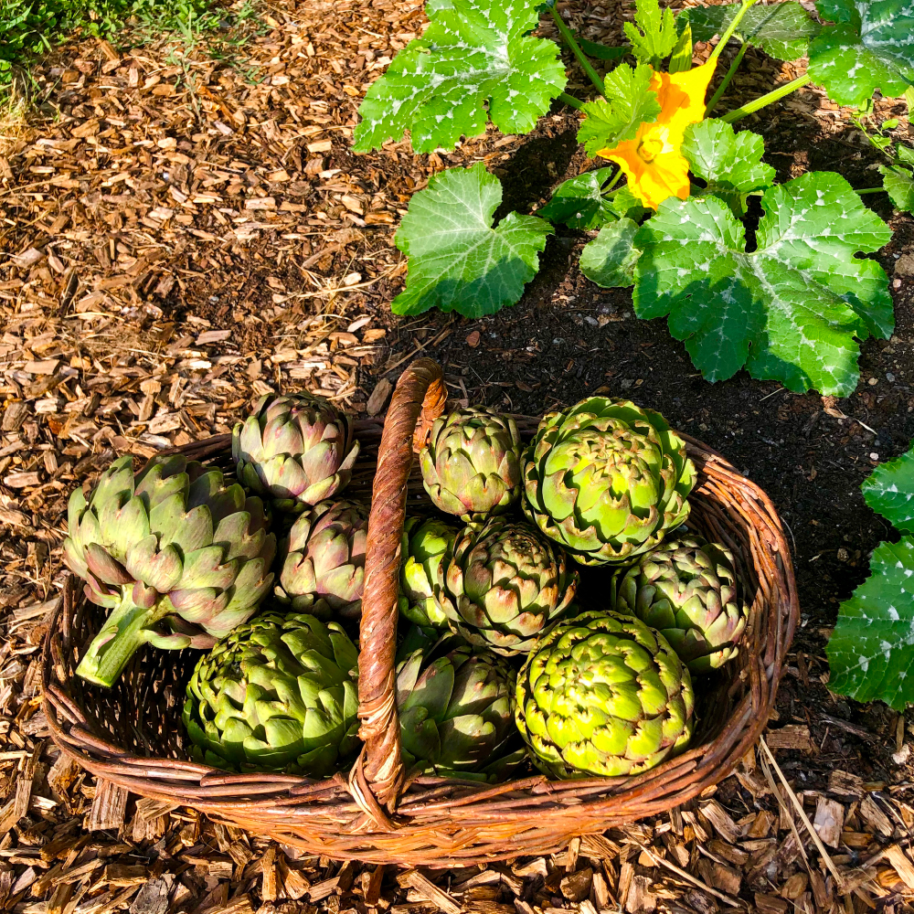 Légumes dans un panier